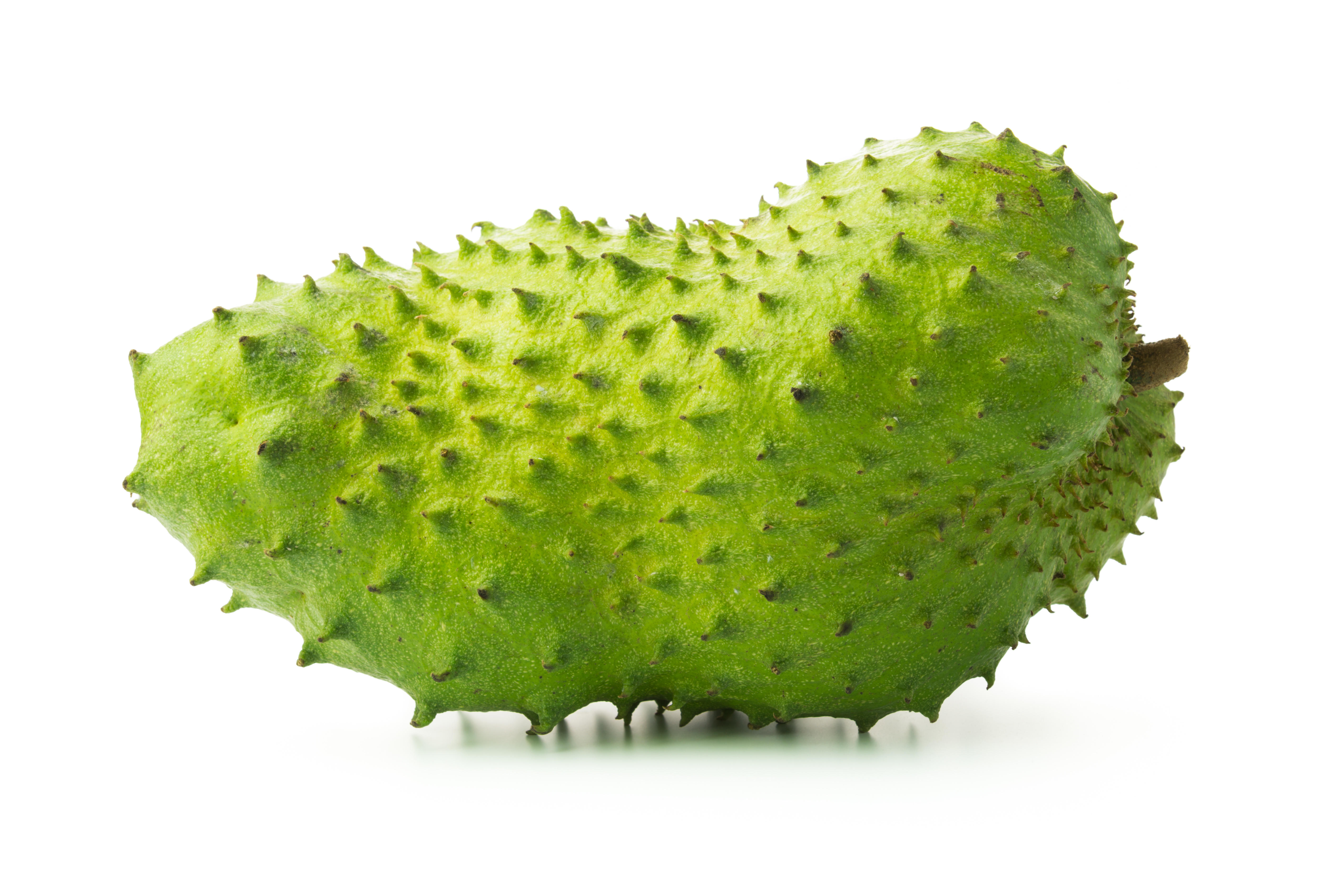 Buy Fresh Soursop Fruit Leaves Tea Pulp Powder Online Soursop Uk